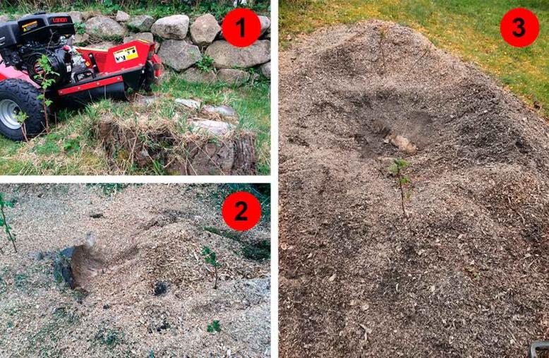 Stubbefres multibilder